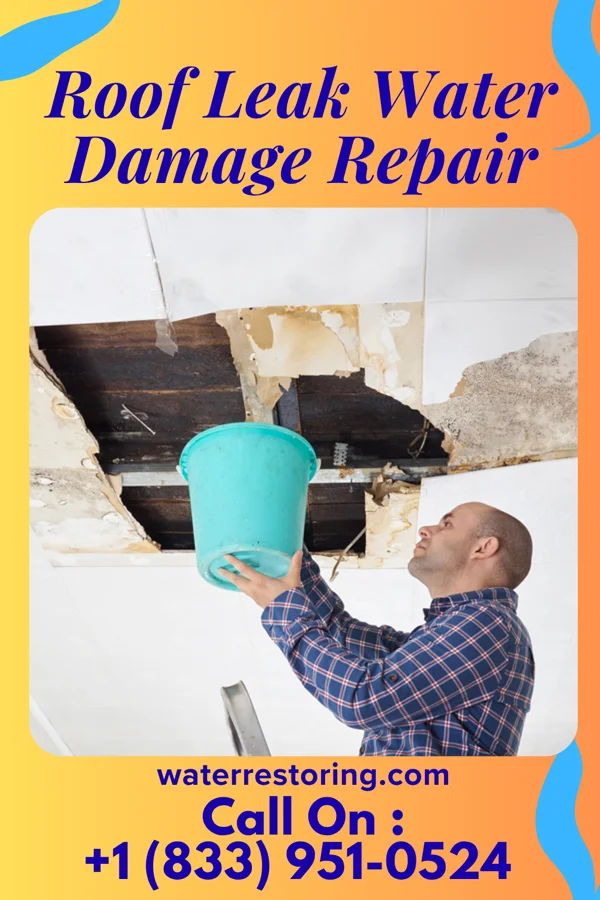 Roof Leak Water Damage Repair in Morro Bay, CA